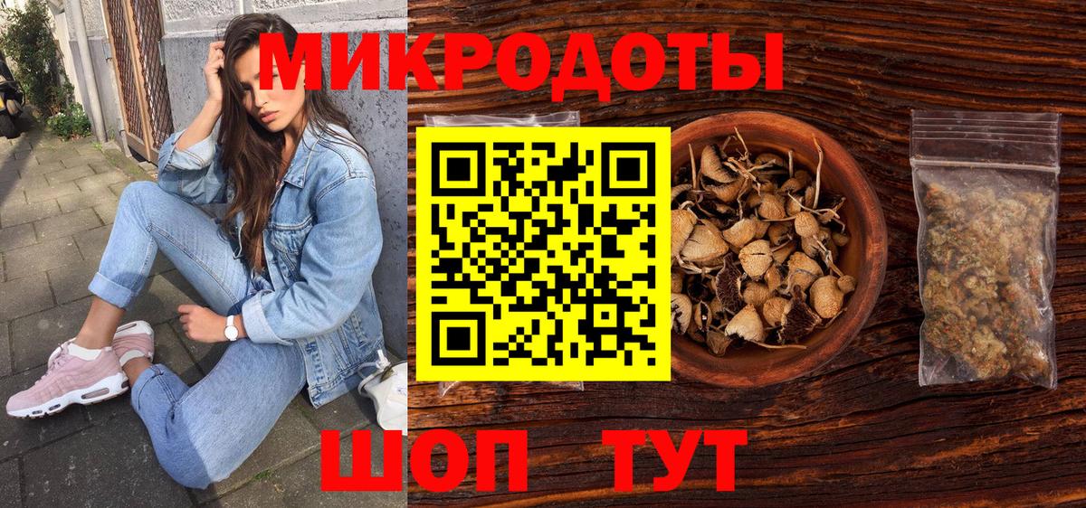 Ефремов  Галлюциногенные грибы прущие грибы  Вход с VPN 